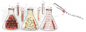 https://www.erinschell.com/files/gimgs/th-60_60_storiesvstatistics_v2.jpg