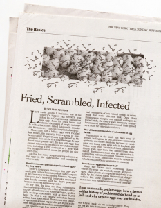 https://www.erinschell.com/files/gimgs/th-60_70_eggs065_v2.jpeg