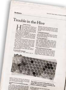 https://www.erinschell.com/files/gimgs/th-60_70_hive063_v3.jpg
